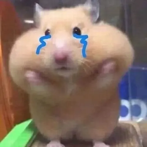 Ảnh meme vui chuột thất vọng vì phô mai bị ai đó ăn mất.