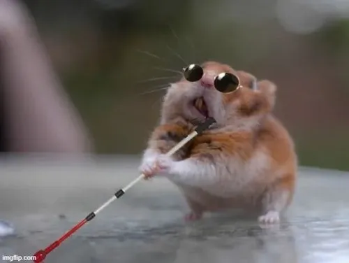 Khoảnh khắc chuột tủi thân ôm đuôi dài vì bị mắng ăn vụng.