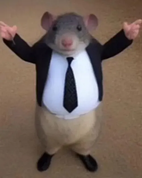 Ảnh chế chuột hết cứu đứng đơ như tượng sau khi làm đổ nồi cơm.