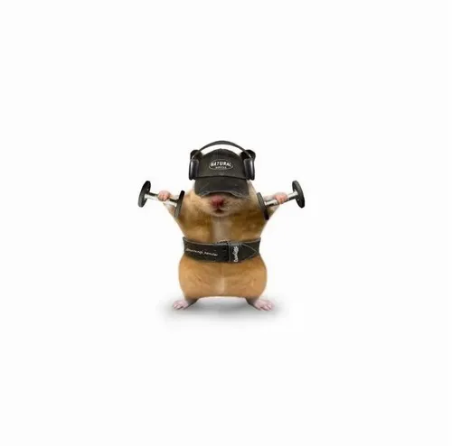 Hình chuột thò đầu ra nhìn trộm đúng kiểu bạn thân drama