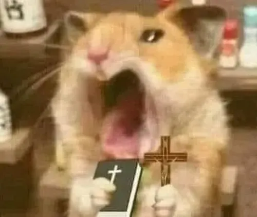 Ảnh meme vui chuột khinh bỉ nhếch mép nhìn mẩu bánh hỏng.