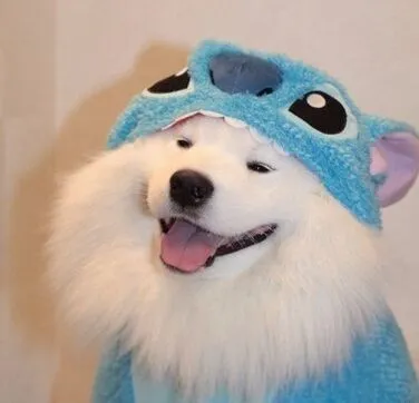 Meme hài lan tỏa vibe tích cực giữa cộng đồng mạng