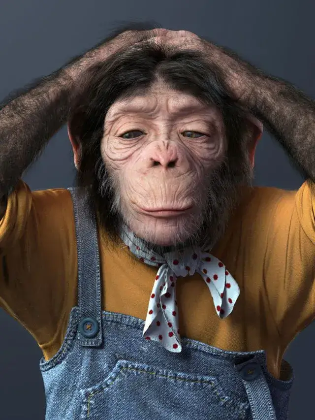 Ảnh vui linh trưởng hoang mang trước tình huống éo le