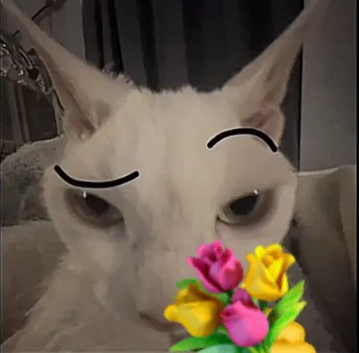 Hình chế mèo cười tươi với bó hoa rực rỡ