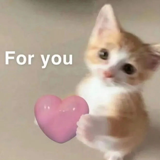 Ảnh troll mèo với caption tỏ tình nhẹ nhàng