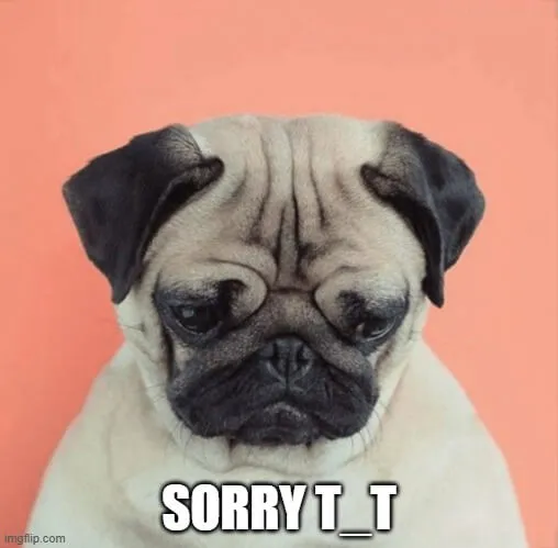 Ảnh vui lỗi nhỏ nhưng chứa đựng cảm xúc rất người