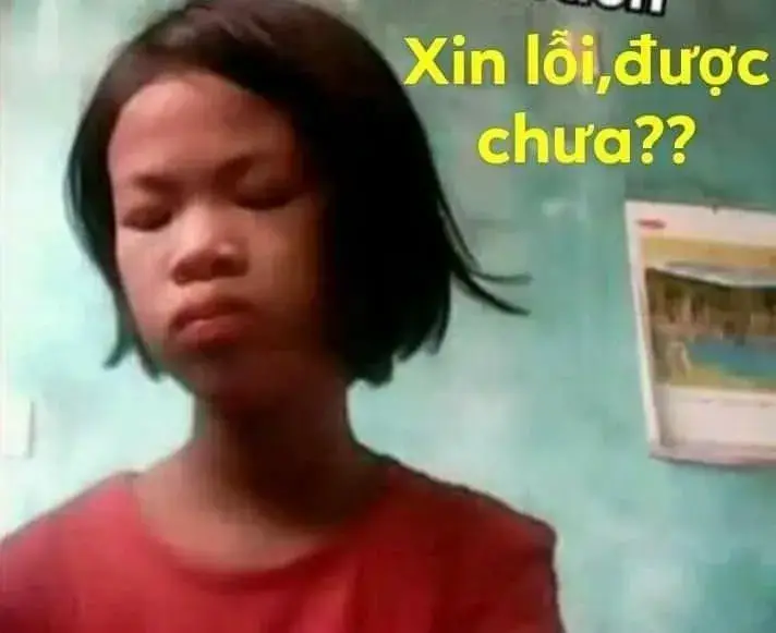 Meme troll xin tha khiến người xem không thể giận lâu