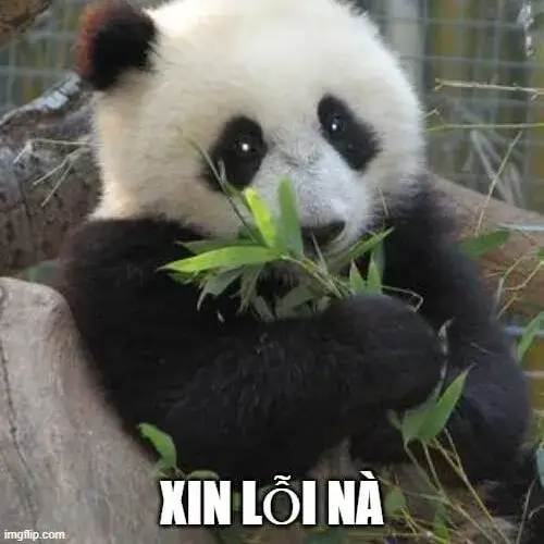 Ảnh chế xin lỗi người yêu cũ khiến dân mạng vừa cười vừa thương