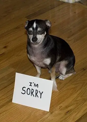 Meme vui nhận sai nhẹ nhàng giúp đối phương nguôi giận nhanh