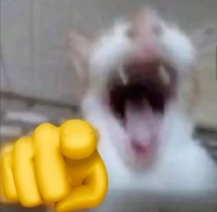 Biểu cảm bựa, nụ cười khiến cả nhóm buồn cười.