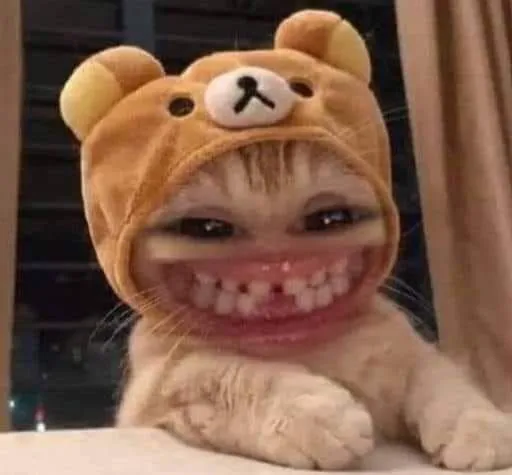 Meme vui vẻ, cười lăn cười bò.