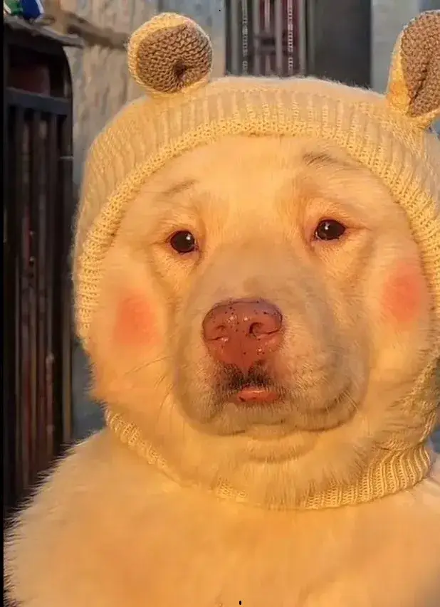 Meme cười bất lực khi sếp nói “sửa tí nữa là xong”.