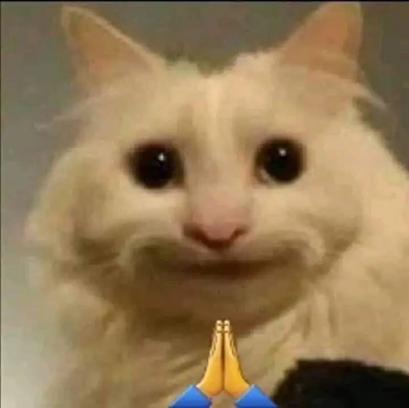 Bộ meme cười bất lực giúp bạn “xả stress” mà không cần nói nhiều