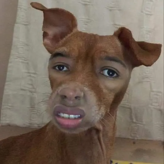 Ảnh chế cười chán nản vì không thể kiểm soát nổi cảm xúc mình.