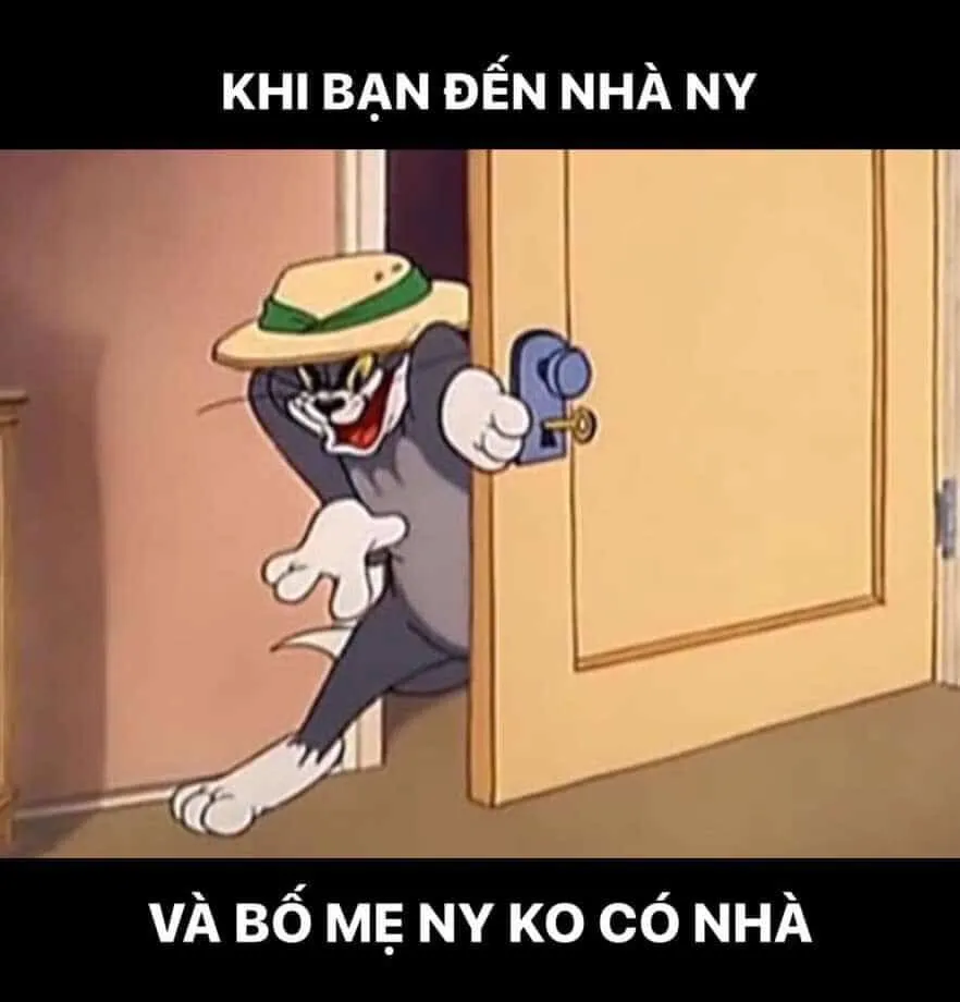 Meme mèo Tom cười ranh mãnh, nụ cười nửa miệng.