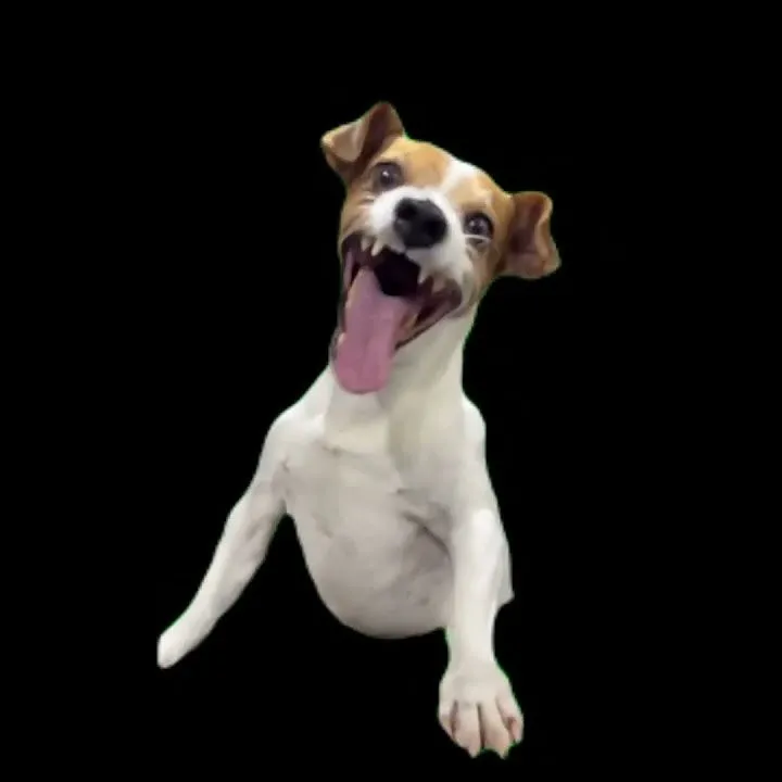 Meme cổ điển khiến bạn cười haha suốt cả ngày.