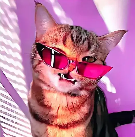 Hình vui mèo cười đểu được dân mạng dùng phản dame khéo