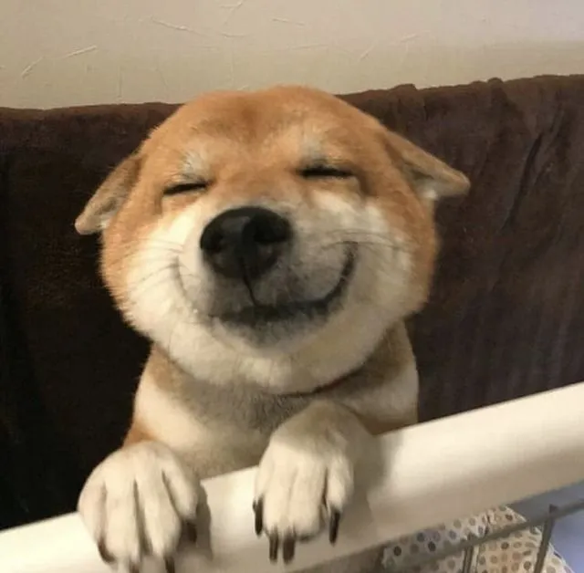 Meme hài nửa cười nửa khinh khiến người xem phải bật cười