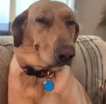 Ảnh troll biểu cảm cười cay độc thể hiện sự “biết thừa”