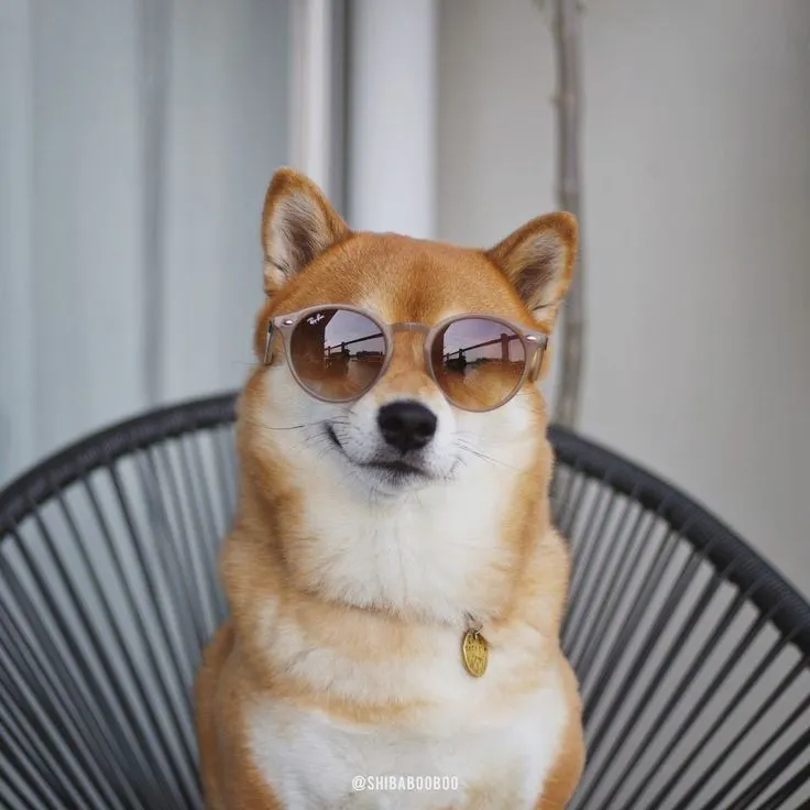 Hình chế meme nhếch mép dành cho những pha “cà khịa có học”