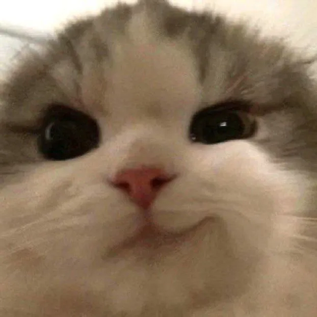 Meme chế khuôn mặt gian xảo với miệng nhếch nhẹ duyên