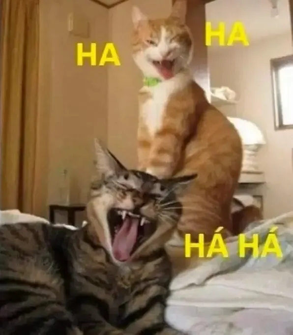 Không thể ngờ meme cười haha lại khiến cả thế giới cười cùng nhau