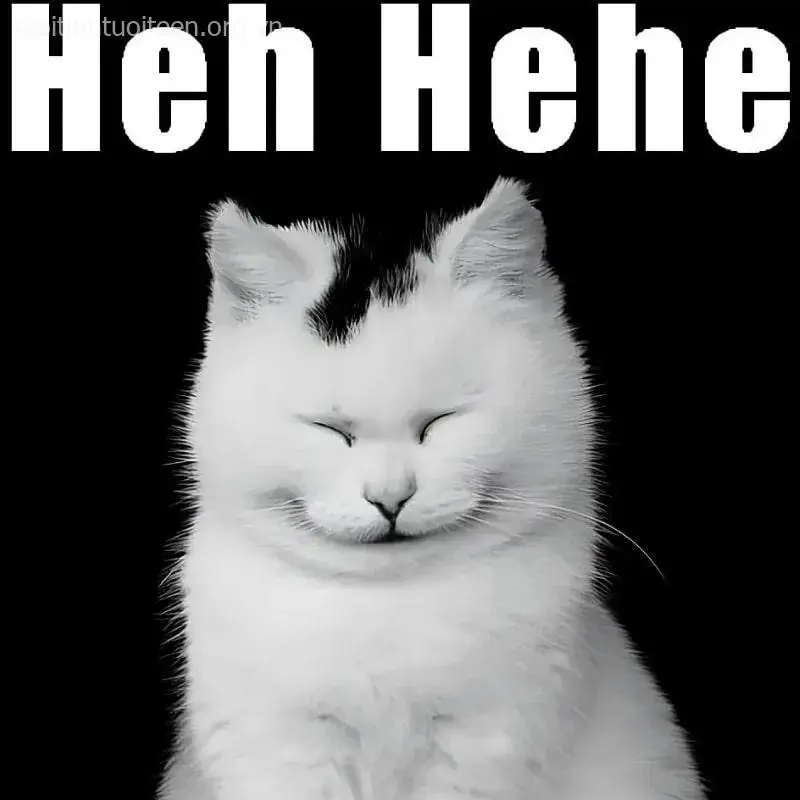 Ảnh chế lầy khiến bạn cười xỉu giữa giờ làm.