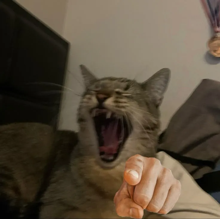 Meme cổ điển khiến dân mạng cười haha ầm group.