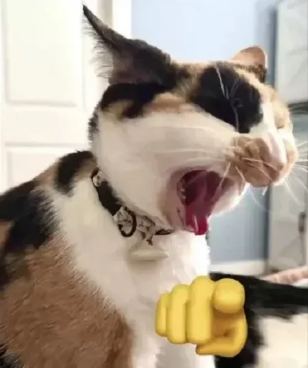 Ảnh troll lầy khiến bạn bật cười vì đúng hoàn cảnh.