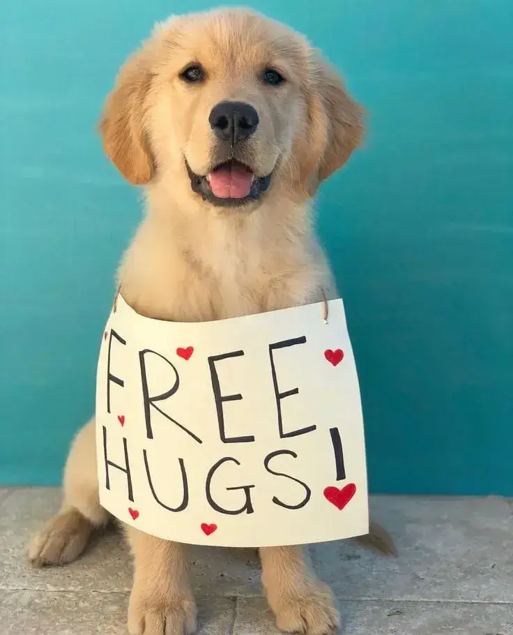 Ảnh chế cô gái dang tay như tìm một vòng tay