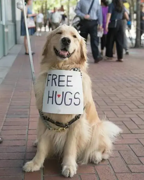 Khi cảm xúc lên tiếng bằng một meme đòi ôm