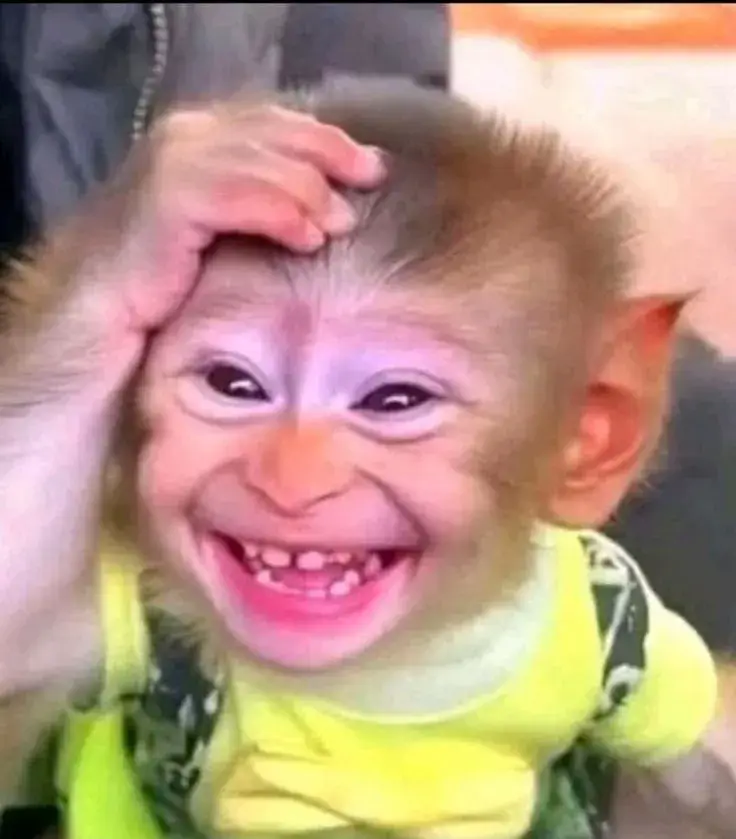 Hình meme bé bi bô cười rúc rích trong nôi