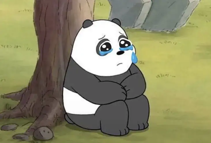 Khi nỗi buồn chạm đáy qua gương mặt gấu trúc lặng thinh