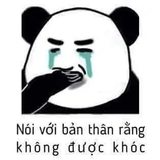 Điều làm gấu trúc khóc trở thành lựa chọn để than thở