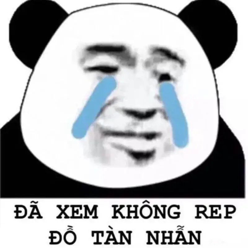 Meme gấu trúc khóc giữa lá khô rơi, ánh mắt xa xăm hướng vào miền ký ức.
