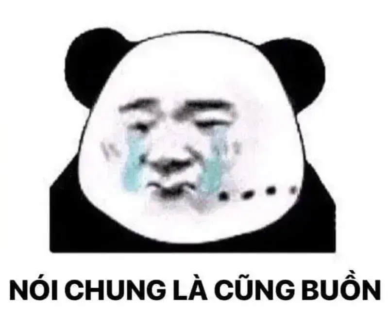 Meme gấu trúc khóc với giọng run nhẹ tạo cảm giác hụt hơi trong từng ánh nhìn.
