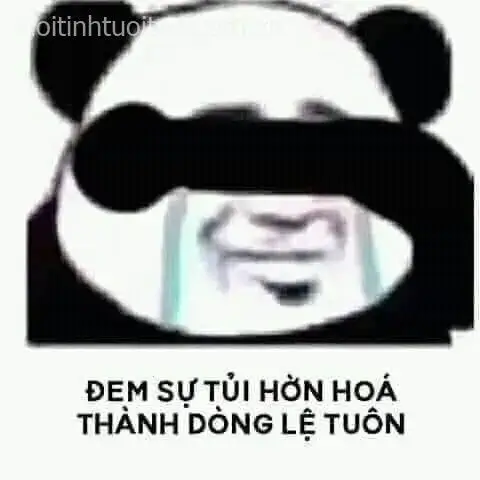 Ảnh troll rớt lệ mô tả gấu trúc dựa vào tường, ánh mắt dài theo dòng cảm xúc.