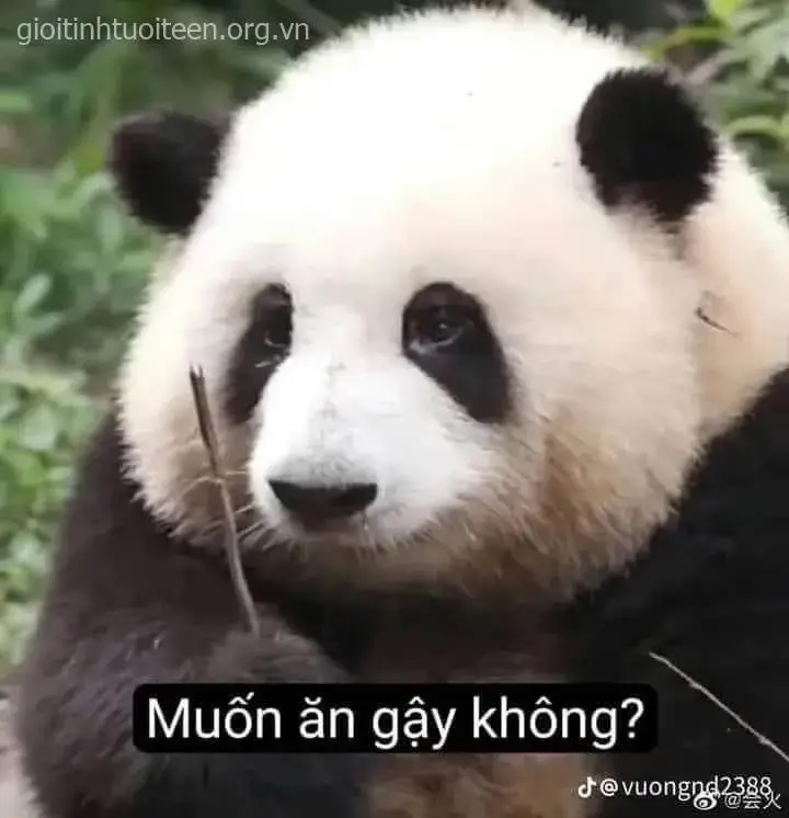 Ảnh troll xót lòng thể hiện tiếng rên nhẹ và cái cúi đầu thấp đầy mệt mỏi.