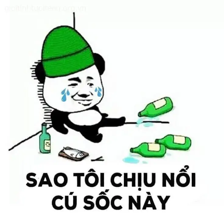 Meme gấu trúc khóc bên bụi trúc xanh tạo sắc thái u tối nhưng vẫn đáng thương.