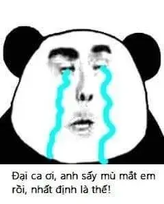 Ảnh chế rơi lệ cho thấy gương mặt buồn rầu của gấu trúc ngồi thu mình trong góc.