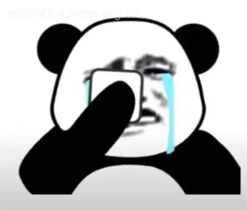 Meme gấu trúc khóc với đôi mắt đỏ hoe và nước mắt lăn dài nhìn đầy tội nghiệp.