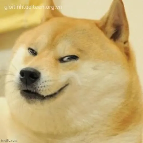 Hình chế meme biểu cảm thắng thế của dân mạng