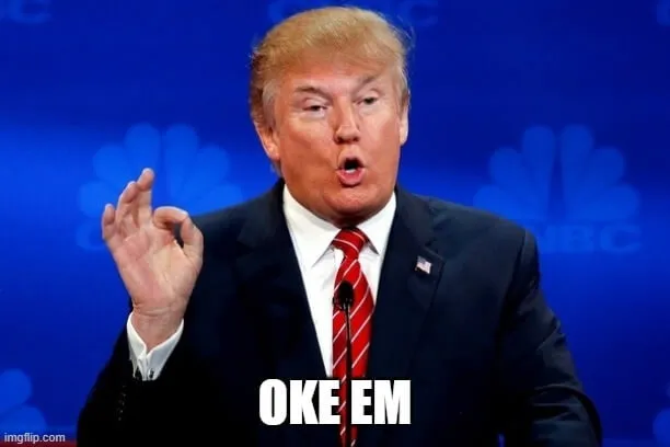 Ảnh meme oki gương mặt đáng yêu, nửa cười nửa chịu trận.