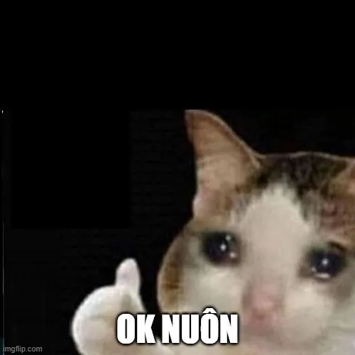 Ảnh mèo Ok sếp được dân mạng dùng để pha trò với đồng nghiệp.