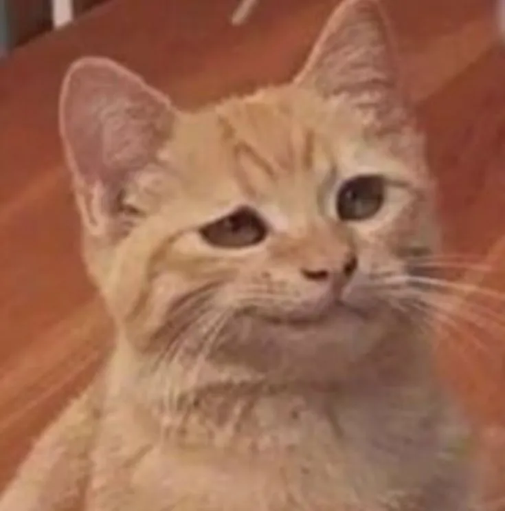 Meme hài hước khắc họa rõ nét nụ cười gượng gạo