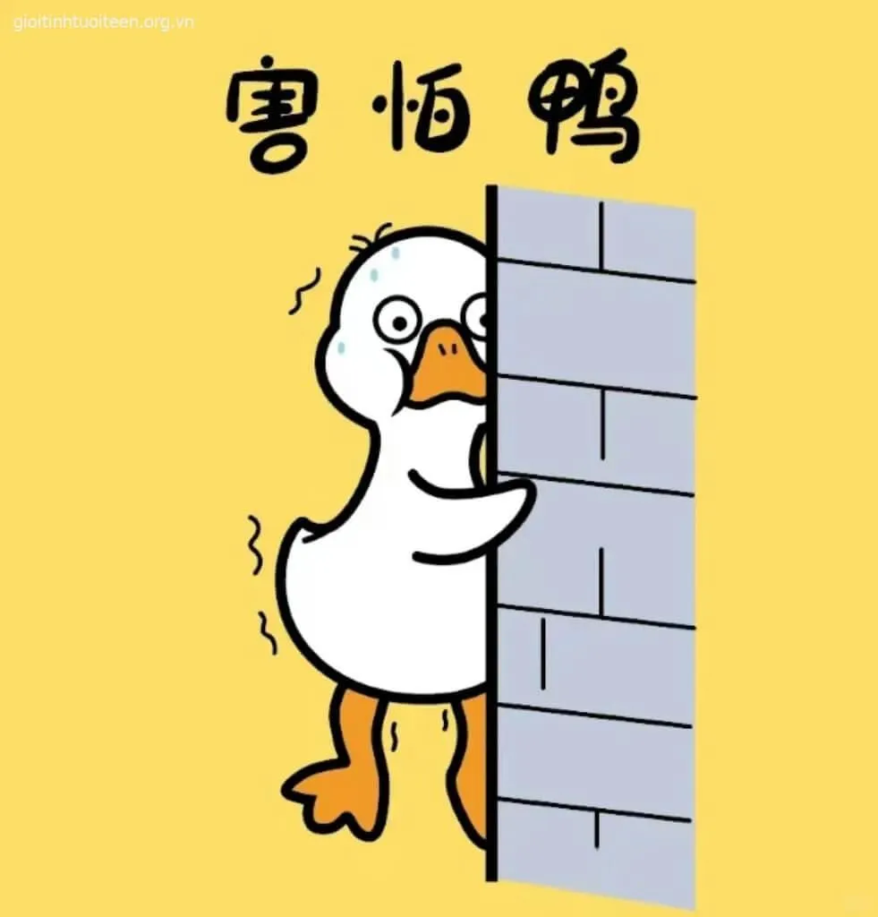 Meme chú vịt sợ hãi bất ngờ há mồm cực hài
