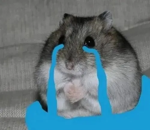 Hình meme hài chuột hamster nhây bựa với nụ cười nửa miệng