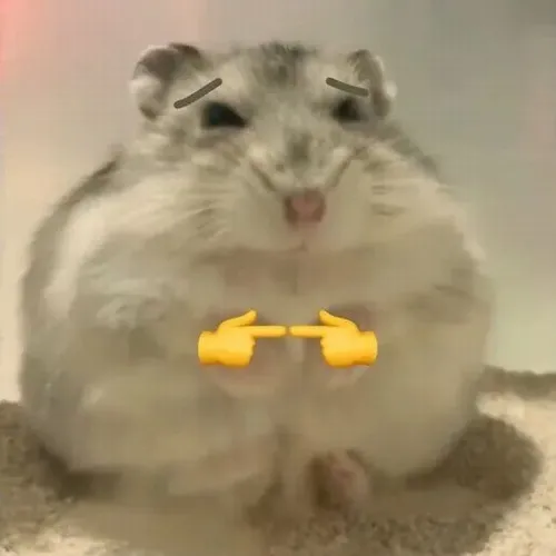 Bộ ảnh chế hamster mang đầy vibe đáng yêu và lầy lội