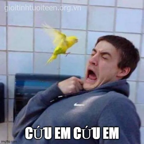 Meme kinh hãi phóng đại ánh mắt và bàn tay run rẩy