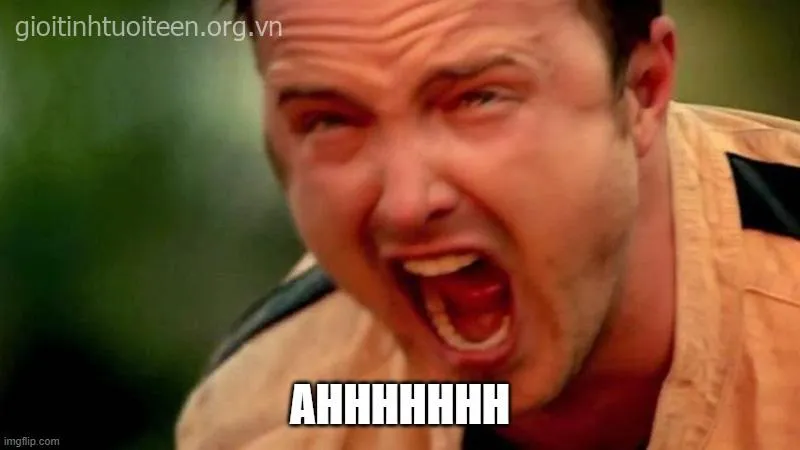 Meme troll mồ hôi lạnh khiến người xem đồng cảm